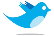 Twitter bird