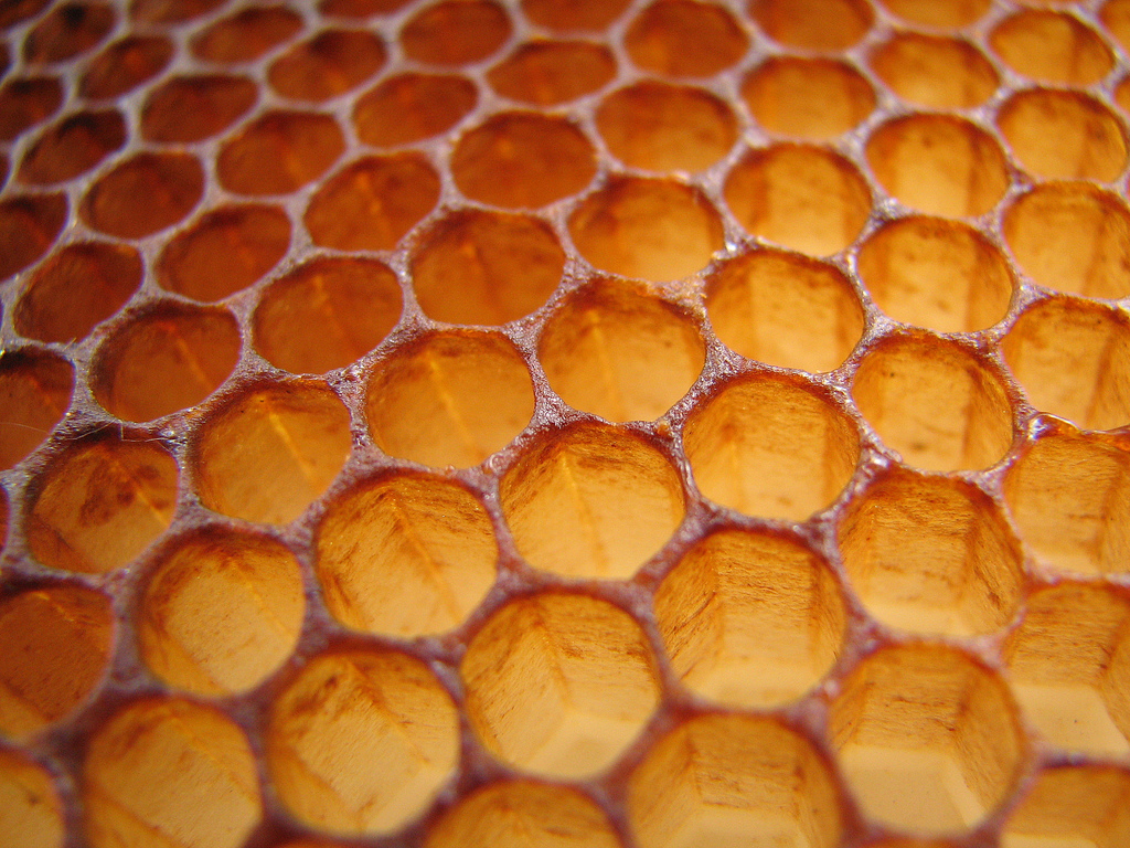 Honeycomb