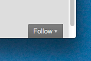 WordPress Follow button