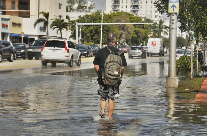 flooding nobel