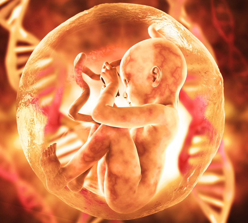 Human fetus dna